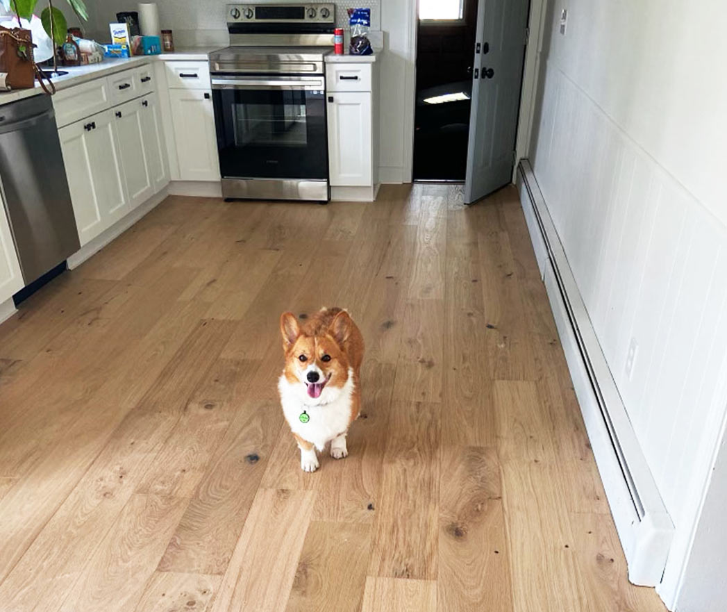 Hardwood floor in kitchen with happy dog